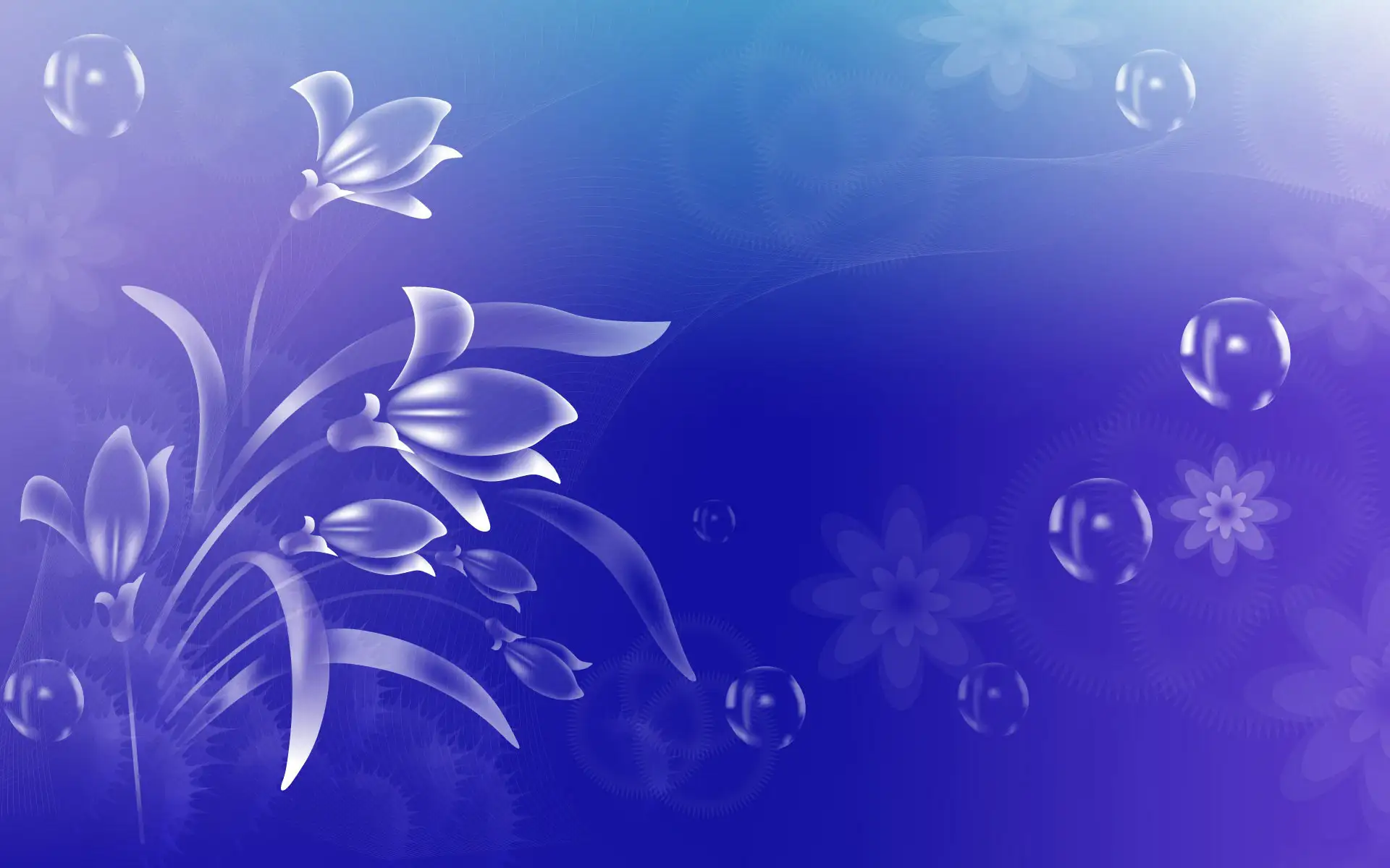 blog-image